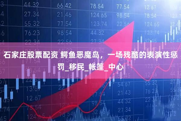 石家庄股票配资 鳄鱼恶魔岛，一场残酷的表演性惩罚_移民_帐篷_中心
